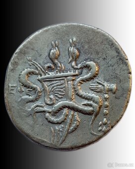 Mince Cistophorus, Ephesus – Ionie - 2