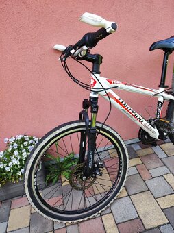 Kolo Torpado Jaguaro 24 - 2