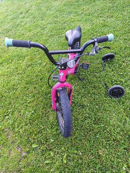 Specialized 16" Riprock Coaster - 2