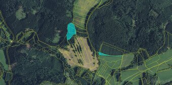 Prodej, les, 11901m2, Drozdov - 2