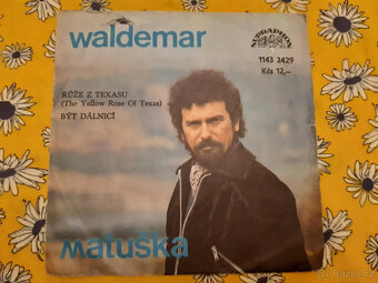 SP deska ružné druhy výběr dle foto 2 - 2