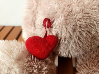 Plyšový medvěd se srdíčkem - 2