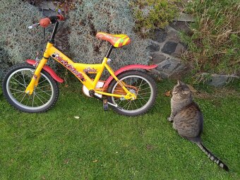 Dětské kolo 16 EngineSkylin,zdarma helma - 2