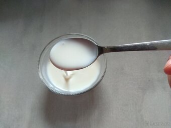 Viili - nekonečný jogurt - 2