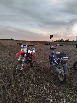 Pitbike Thunder 125 🏍️ - 2