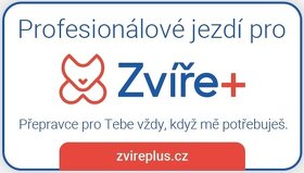 přeprava zvířat - certifikovaný přepravce - 2