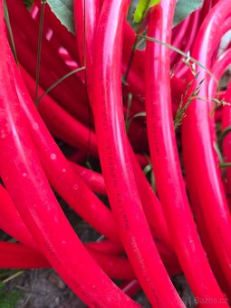 Potrubí pro podlahové vytápění - 2