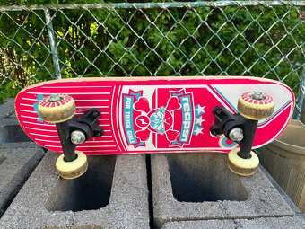 Dětský skateboard 50cm - 2