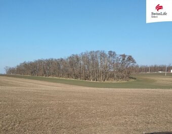 Prodej stavebního pozemku 4538 m2, Hrušovany nad Jevišovkou - 2