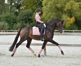 Podsedlova decka Equestrian Stockholm Pink DL a PVS - 2
