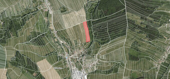 Kaňovice u Luhačovic (19 906 m2) - 2