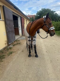 Síťovaná deka HKM proti hmyzu - 2