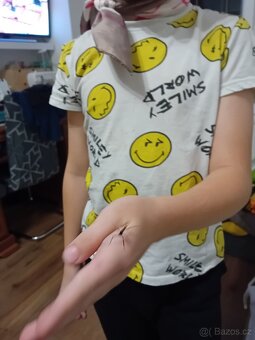 Strasilka australska - 2