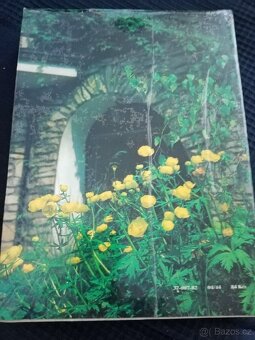 Kniha JARO V ZAHRADĚ - 2