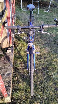 Pánské kolo Author - 2