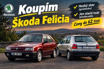 KOUPÍM Škoda Felicia :) - 2