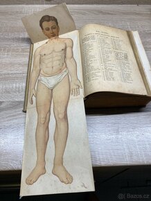 Přírodní léčba a domácí lékař - 2