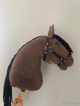 Hobby horse - 2