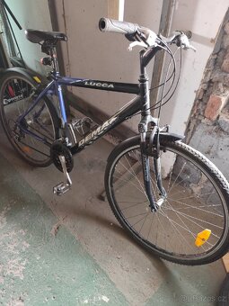 Pánské kolo LUCCA - 2