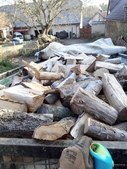 Palivové dřevo - 2