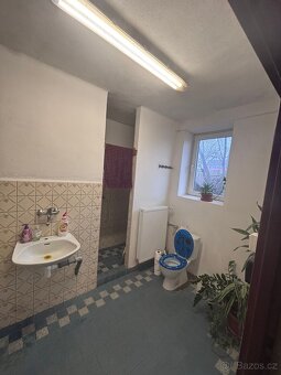 Ustájení a výcvik koní - 2