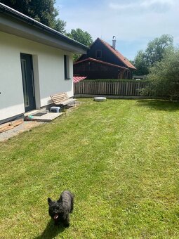 Pronájem chaty u řeky Sázavy – novostavba přímo u vody - 2