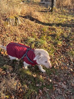 Nový obleček vyteplený 55 cm - 2