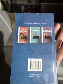 Kniha sága rodu forsytů - 2