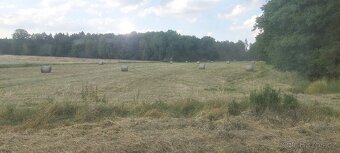 Seno kulaté balíky - 2