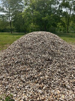 Drevni stepka - mulcovaci kura - 2