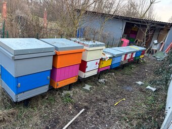 Vyzimovana včelstva - 2