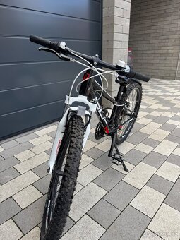 Kolo Superior Team 24" - 2