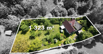 Prodej, chalupa, pozemek 1323 m2, Borušov - 2