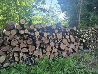 Prodám palivové dřevo 1,5m - 2