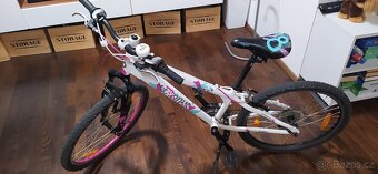 Dívčí horské kolo Cygnus Dirt Berry 24 - 2
