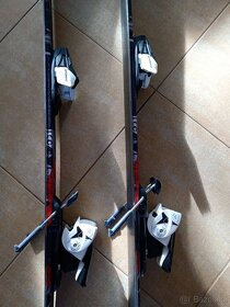 Sjezdové lyže Cygnus 8 120 cm - 2