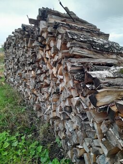 Palivové dřevo - bříza - 2