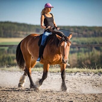 Částečný pronájem - 2