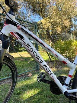 Leader Fox Toscana Lady 19’ - 2