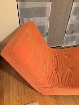 Oranžová lenoška - 2