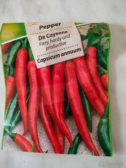 Sazenice Chilli papriček - 2