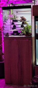 ⚠️Akvárium Komplet⚠️ - 2