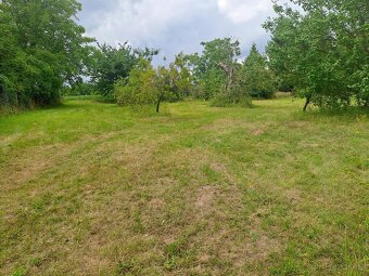 Prodej pozemku ke stavbě v obci Češov u Jičína - 2