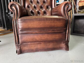 Britské křeslo - ušák - 2