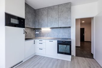 Pronájem byty 2+kk, 45 m2 - Plzeň - Skvrňany, ev.č. 00696 - 2