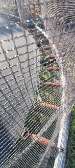 Trampolína 3,0 m - 2