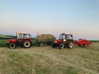 Prodám seno v malých hranatých balících - 2