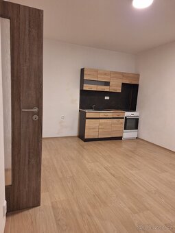 1kk , 29 m2, Chotěšov - 2