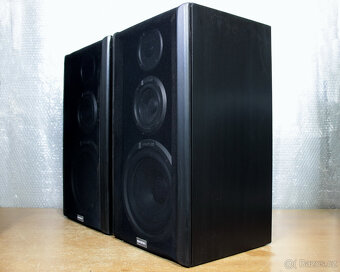 Reprobedny Quadral Sonologue. - 2