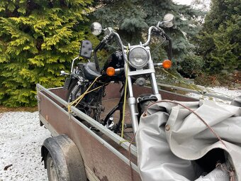 Suzuki Savage 650 - 2